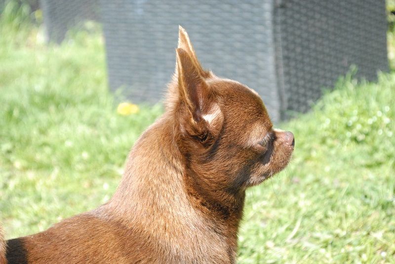 Twix de la fontaine  aux malefices