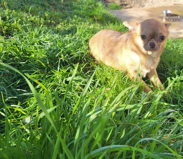 ulcia Du Hameau De Selcra